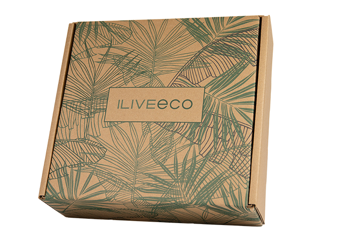 Outside Winglock Die-cut Box with Inner Flaps